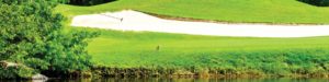 Golf-Lessons-golf-Course-Fort-Myers